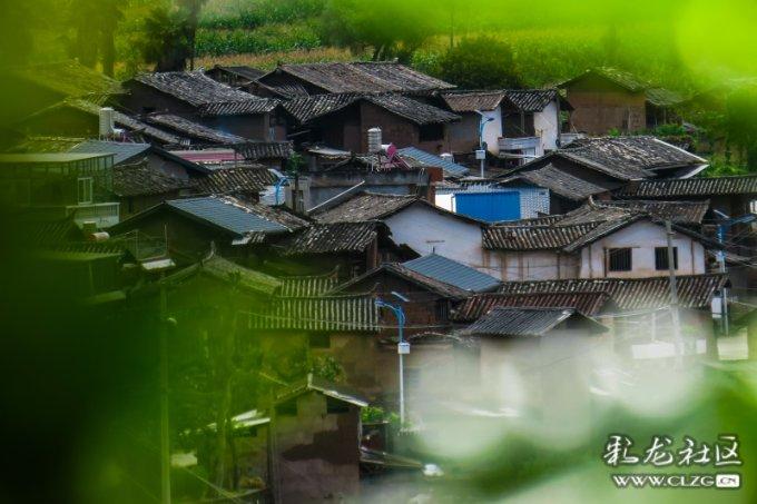 银行定存提前支取,利息得按活期计算,如何兼顾收益性和流动性?-分享你的兴趣与见解